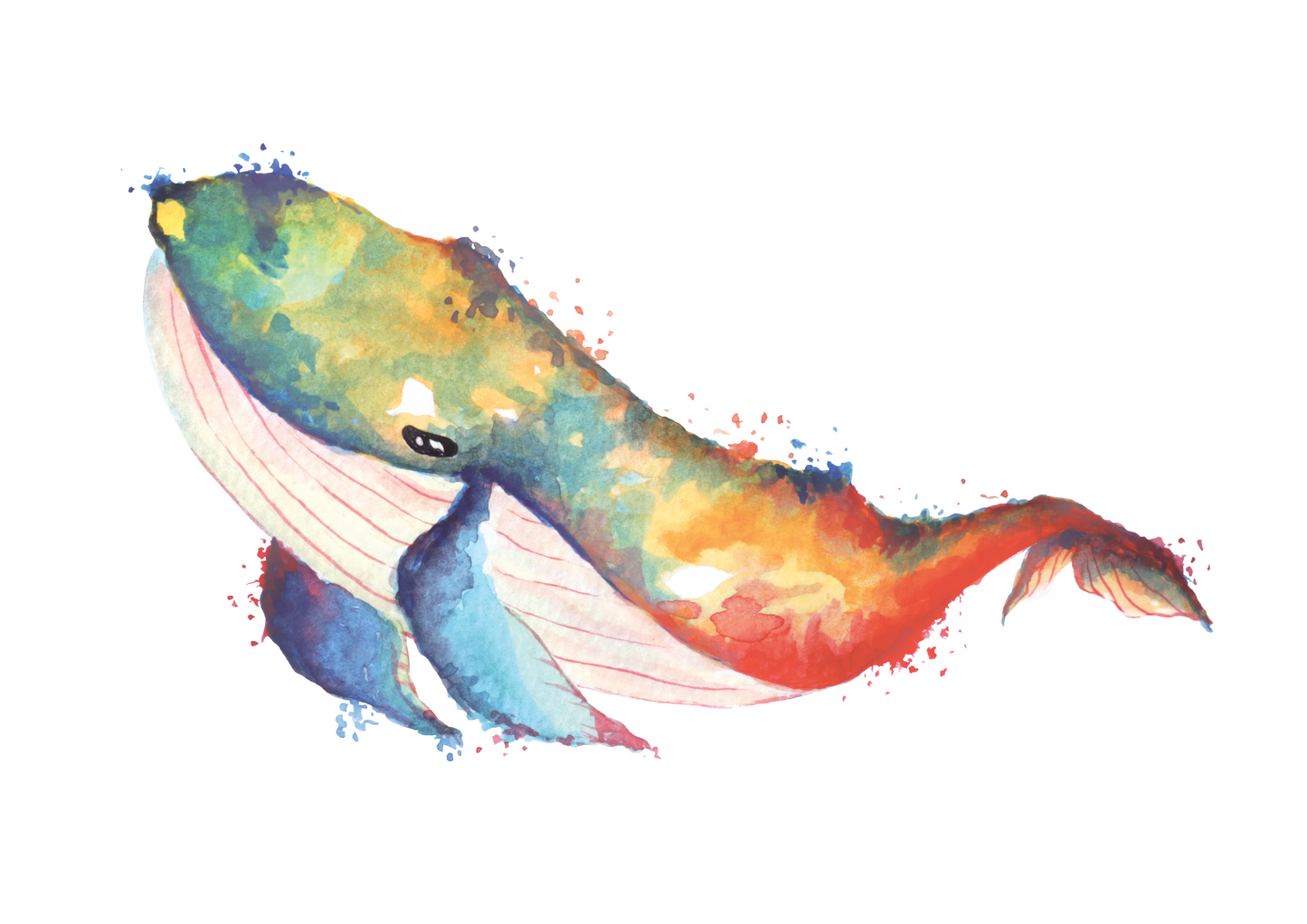 Watercolor Whale