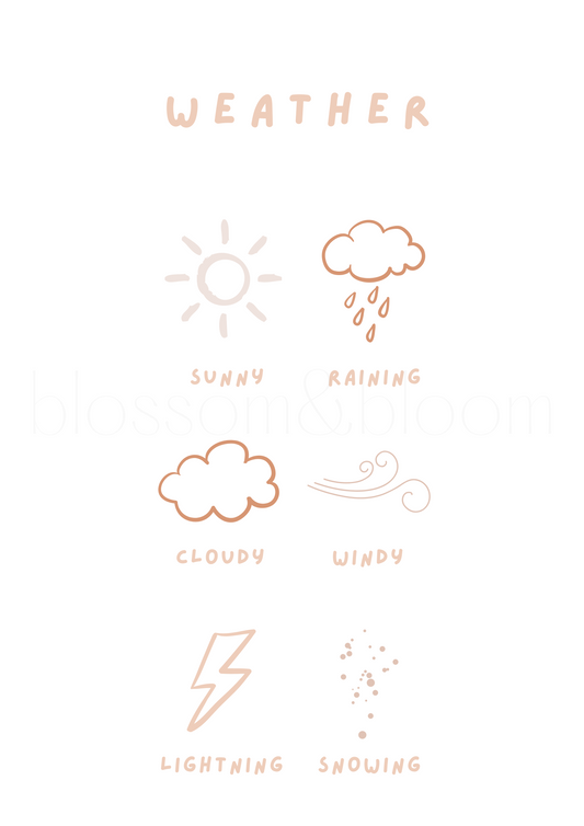 Weather Symbols