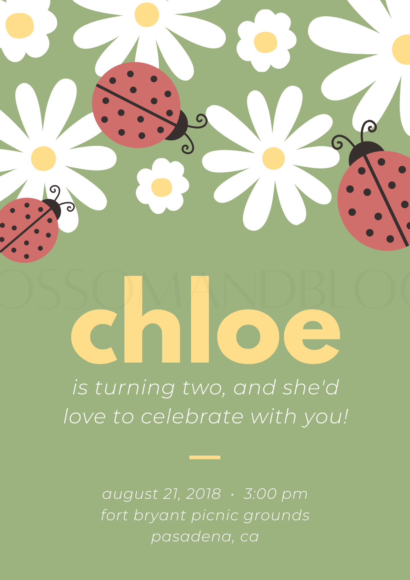 Birthday Party Invitations