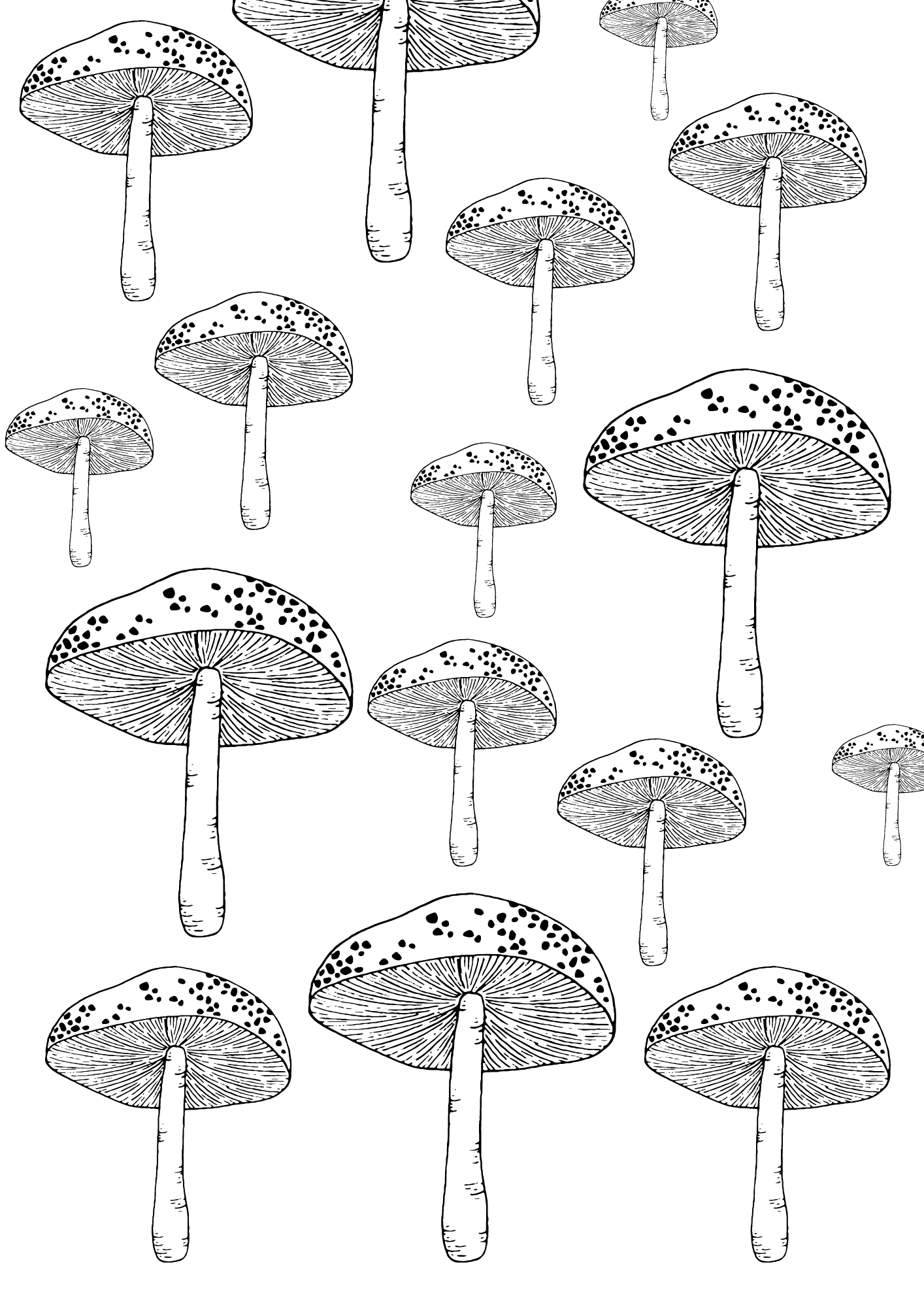 Mushrooms Line Art