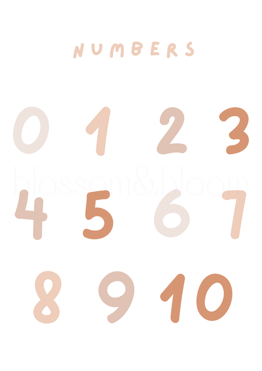 Learning Numbers