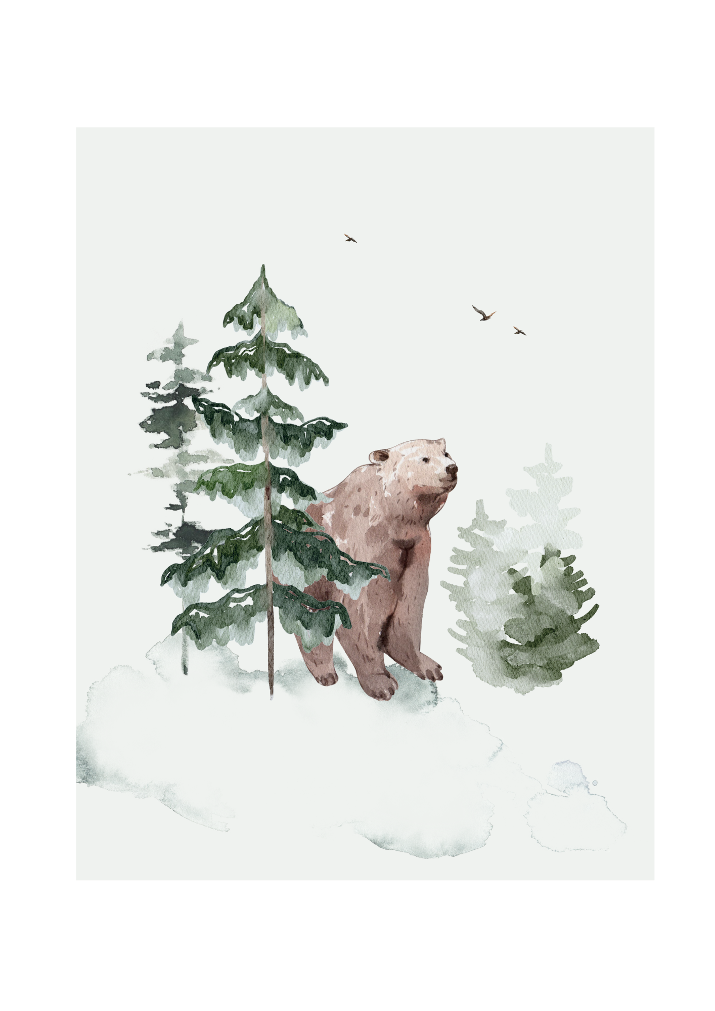 Woodland Bear