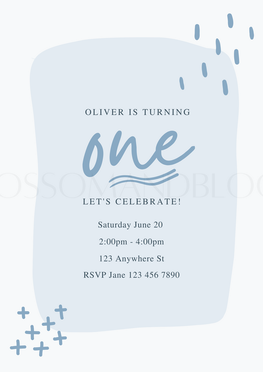 Birthday Party Invitations